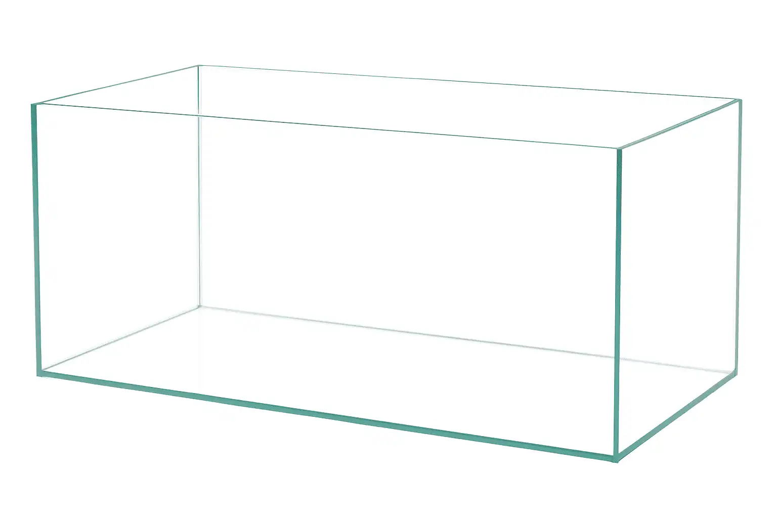 60 Liters Glass Aquarium